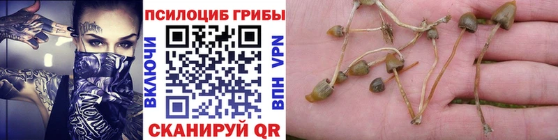 наркота Ленинск мориарти какой сайт Галлюциногенные грибы прущие грибы